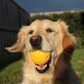 Industrial Dog Ball (Power Chewers)-Unclassified-Rover Pet Products